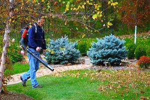 blowing leafs
