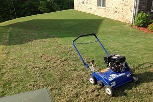 lawn-de-thatching