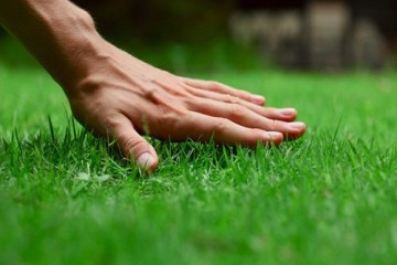 Spring & Fall Cleanup
