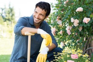 landscaping contact